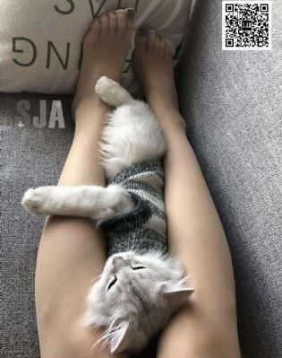 av电影免费在线_1080P高清完整版